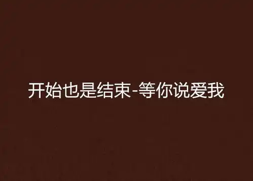 开始也是结束等你说爱我
