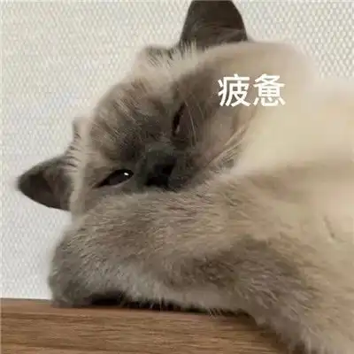 抖音完了芭比q了表情包很火很有趣味的搞笑聊天表情