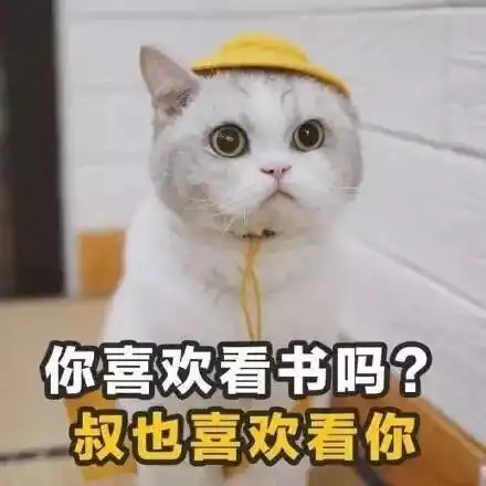 七夕将至,土味情话强势来袭
