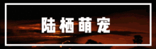 温州惊现3500㎡疯狂动物城1600奇珍异兽7月14日大开眼界
