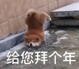 小苍置身冰雪童话宛如雪姐姐猜猜小苍过年去哪啦
