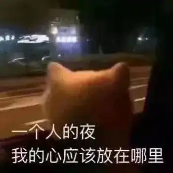 抖音热门表情包一个人的夜我的心应该放在哪里