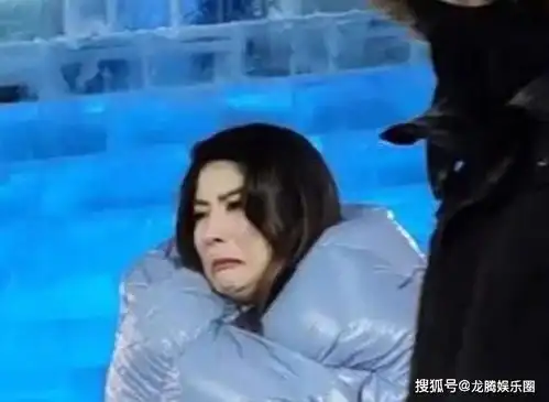 陈慧琳东北演出被冻出表情包,歌词是抖出来的,唱歌哈气就像人间加湿器