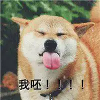 柴犬可爱头像卡通微信头像图片大全