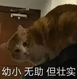 致00后,大学专业怎么选,看完你就知道了