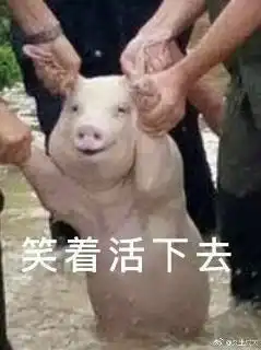 李磊1视频直播全集李磊1资料大全yy官方