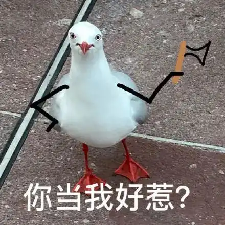 表情包鸟怎么想打架