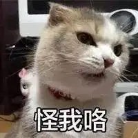 该不该给猫猫做绝育手术