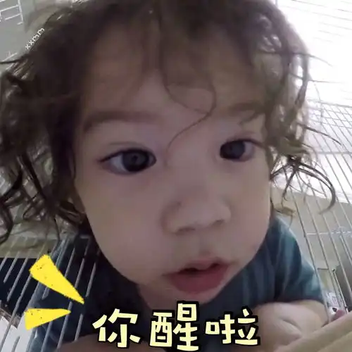 肥厚表情包第十六弹旷世可爱