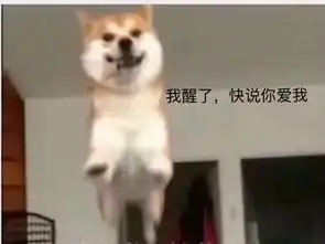 想要张表情包,上面写着我醒了,快说你爱我,哪位大神帮帮我