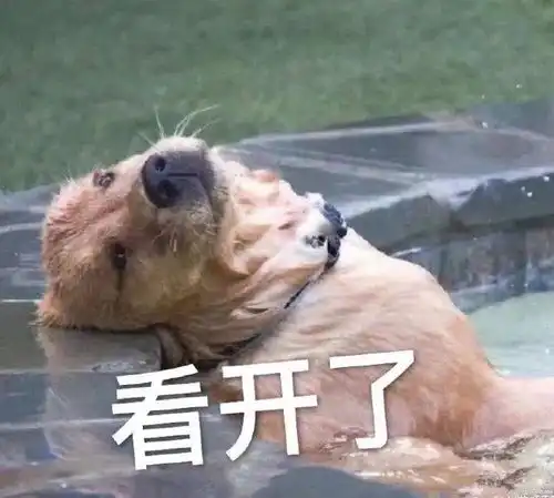 表情生活不易猪猪叹气