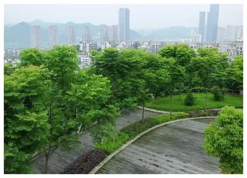 50岁的湖南人恋上了30岁的幼儿老师,用2000元买到了教训