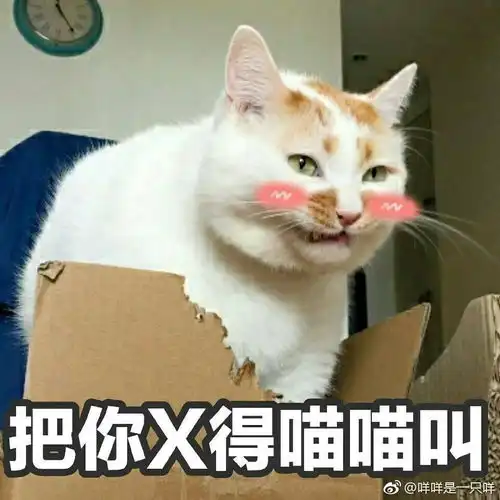 有最近流行的表情包吗