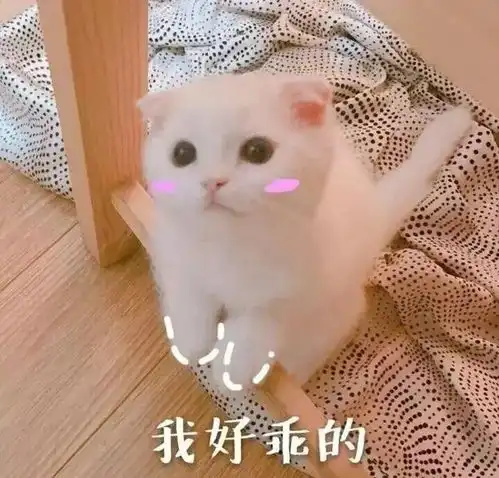 你是什么脸型,就化什么妆不同脸型的化妆技巧全在这
