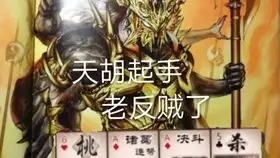 标准包三国杀新手小月菜菜三杀