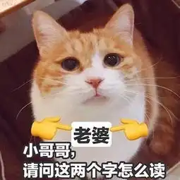 漂亮宝宝照片漂亮宝宝相册大全yy官方