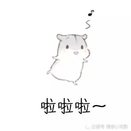 仓鼠表情包老婆,我们回去睡觉觉