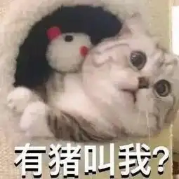 最近斗图表情包爆火不皮,人生还有什么意义
