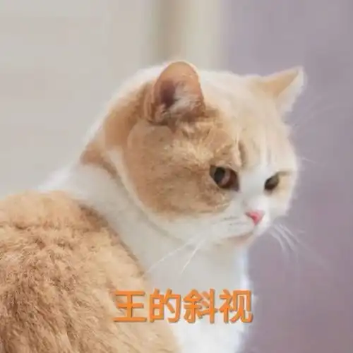 眼睛是心灵的窗户,但是窗户起雾了咋个办