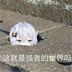 你的魅族17新机豪礼已送达,请注意查收