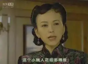 海兰察只是烟雾弹秦岚根本就没放下渣男,还为他找了个替身