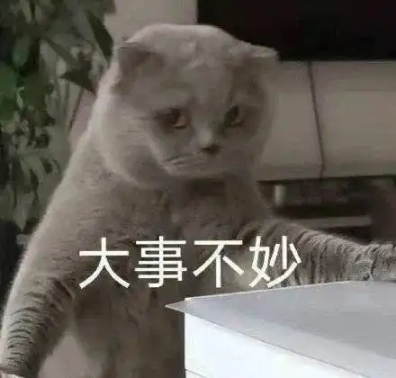 表情包,我永不还乡,我永不投降