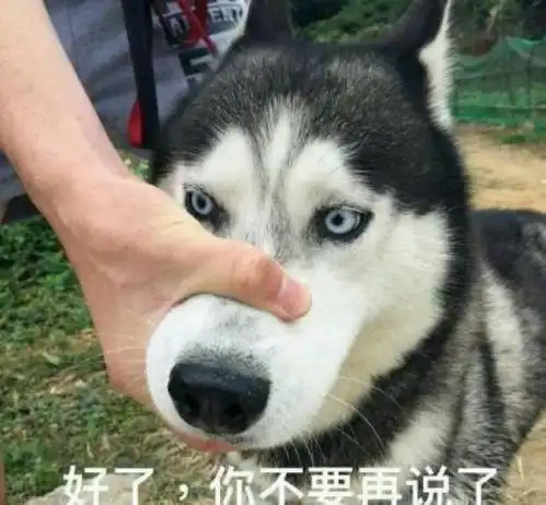 生无可恋老娘我到底做错了什么,要陪孩子做作业