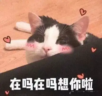 表情包歪我的小宝贝在吗