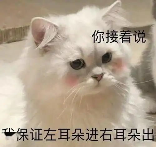 情侣万能聊天表情包老子的爱收好