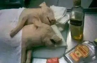 女友突然给我发微信,问我是不是跟别人睡了...