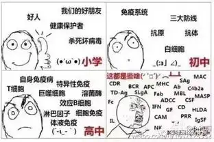 用一个表情包形容你的专业,化学化工躺枪