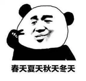 抖音我可不可以喜欢你四天表情包春天夏天秋天冬天