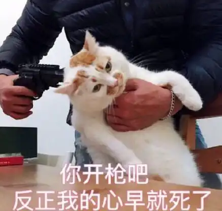 2017年最热表情包盘点,现在保存还来得及