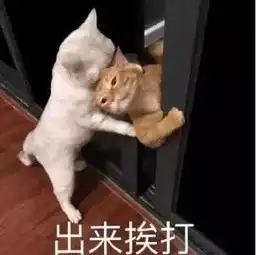 趣读和他比盖章,乾隆同学还嫩了点