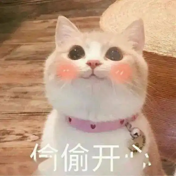 新年超治愈猫猫表情包
