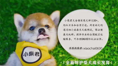柴犬萌贱表情包合辑,不笑算我输