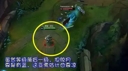 lol你是王者亚索也没用,这个打野英雄qrr你就没了
