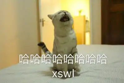 哈哈哈