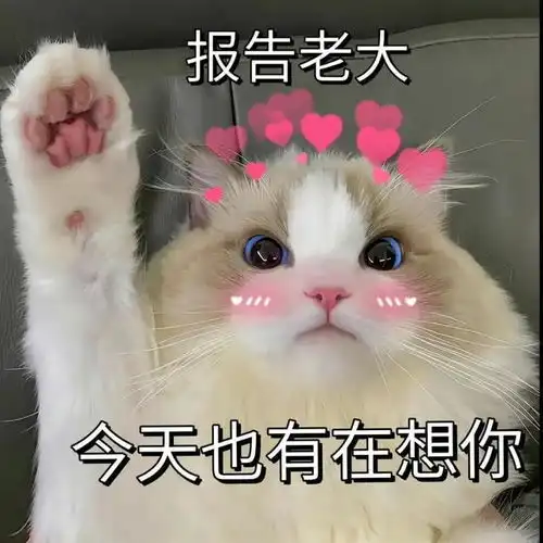 一组情侣聊天实用的表情包