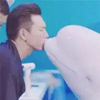 亲爱的热爱的佟年韩商言cp情侣头像分享