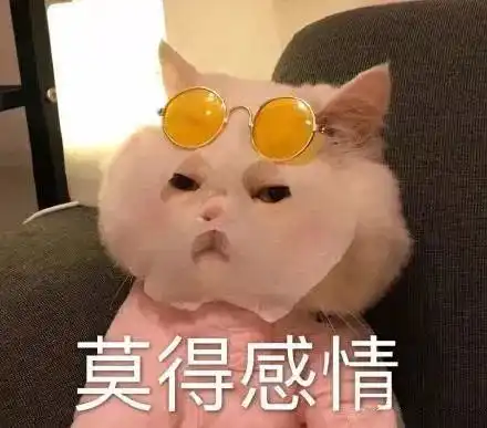 表情包以为没有你,我可以坚强一个人,终于知道我不行