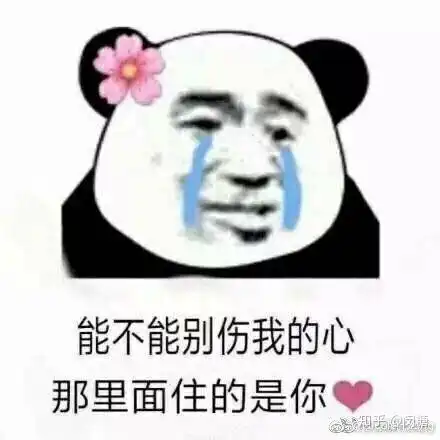 有没有小熊猫的表情包
