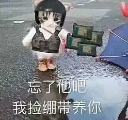 老表坐稳了毒来了表情包一览绝地求生跑毒表情包汇总一览