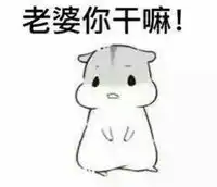 仓鼠夫妻