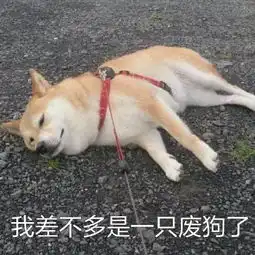 爆笑段子我什么人都不怕,可是我觉得你蛮可怕的