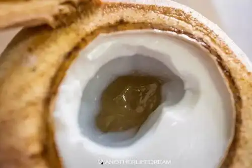 来一场海南美食的春日之旅吧这是一份来自美食达人的推荐