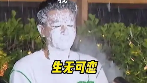 贾乃亮奶油炮表情包,任何一个人不收藏我都会伤心的好吗