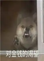 小脾气上头表情包猫好玩吗小脾气上头表情包猫怎么玩用户评论