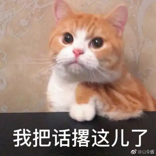可爱搞笑又沙雕的表情包大全