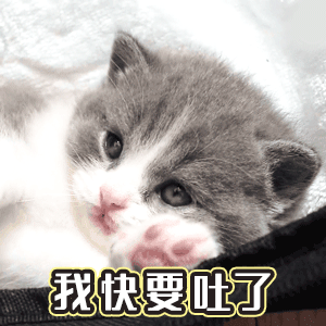 20个动态搞怪表情包气场全开,大哥你冷静一点